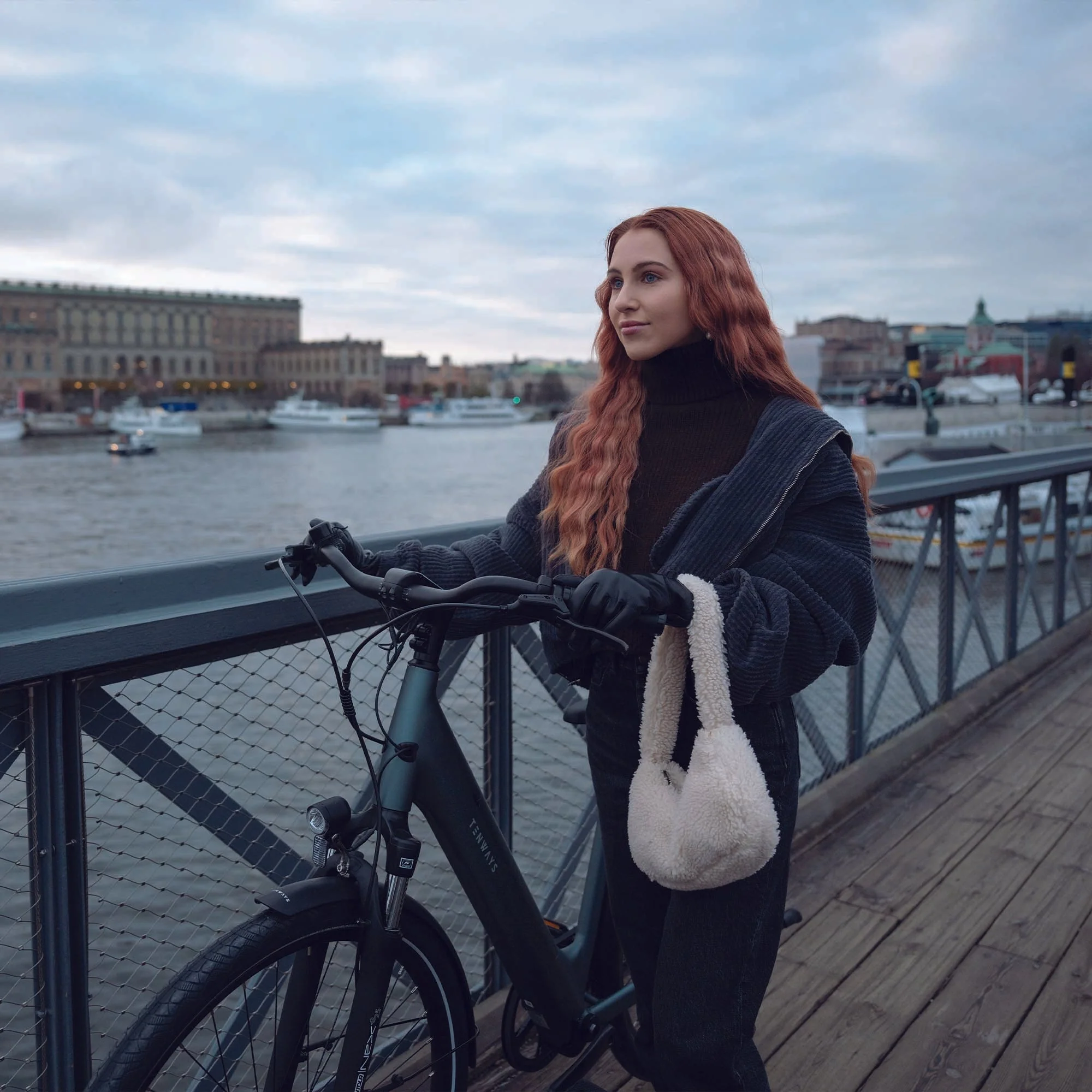 Tenways CGO800S Step-Through Electric Hybrid Bike - Image 8